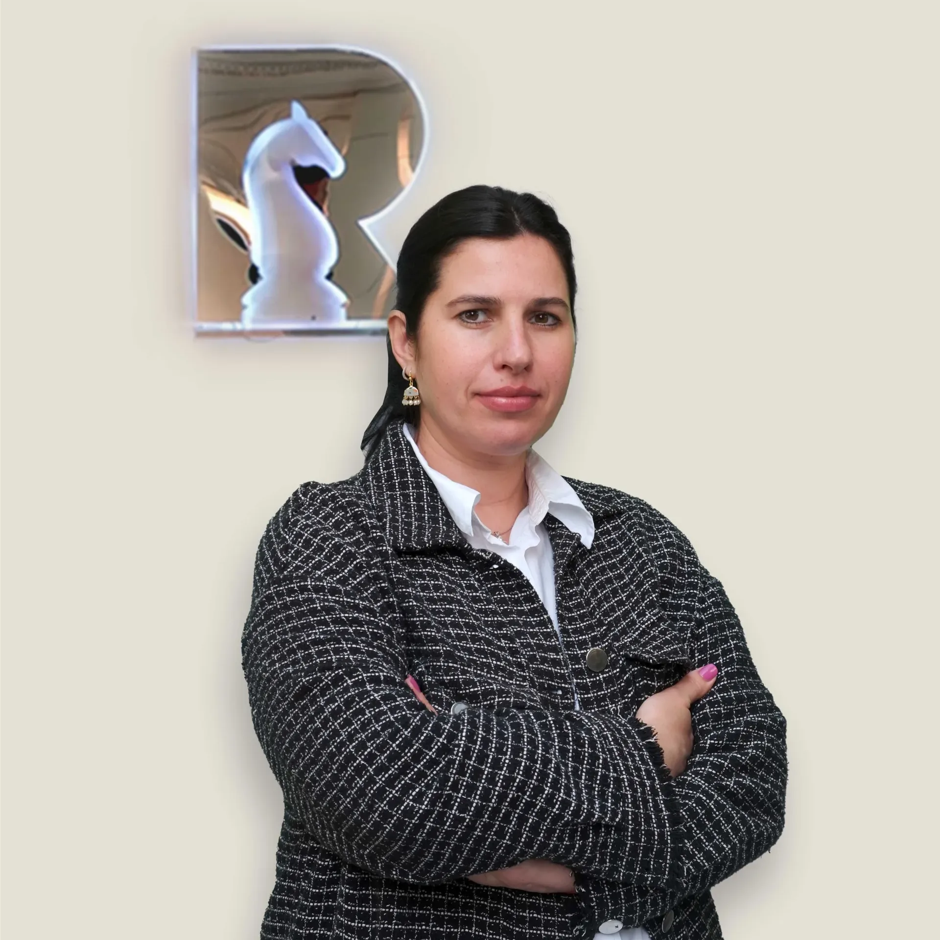 Elena hnm ölçekli e1704282668182 hızlı